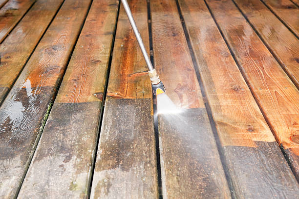 Trusted Montrose, VA Pressure Washing Services Experts